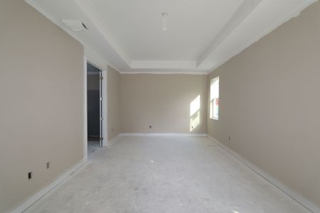 New construction Single-Family house 20339 Oriana Loop, Land O' Lakes, FL 34638 Newport II- photo 68 68