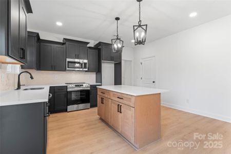 New construction Single-Family house 5250 Rocky River Crossing Rd, Harrisburg, NC 28075 - image 4