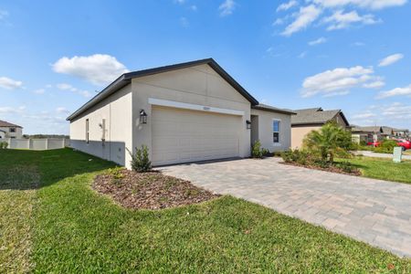 New construction Single-Family house 12227 Hilltop Farms Dr, Dade City, FL 33525 Sentinel- photo 159 159