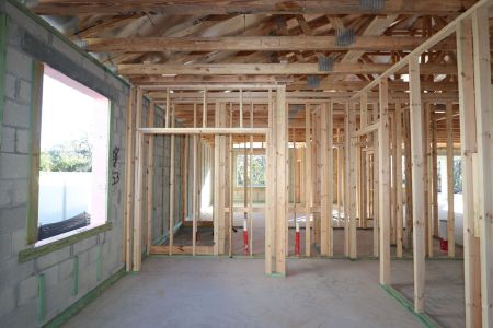 New construction Single-Family house 3116 Marine Grass Dr, Wimauma, FL 33598 Barcello- photo 12 12