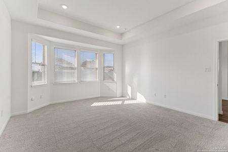 New construction Single-Family house 12528 Gunsbach, Schertz, TX 78154 - image 19