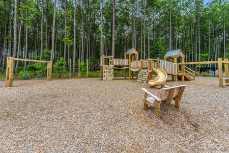 New construction Single-Family house 476 Rowley Lane, Summerville, SC 29486 Nantahala- photo 56 56