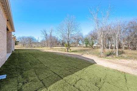 New construction Single-Family house 1024 Monaco Court, Springtown, TX 76082 - photo 35 35