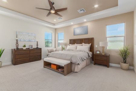 New construction Single-Family house 21011 E Diana Wy, Queen Creek, AZ 85142 plan Amarante - image 16