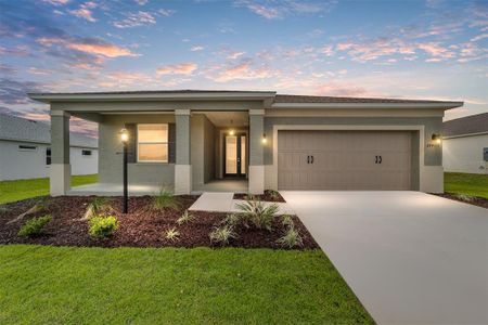 New construction Single-Family house 10409 Sw 106Th Ct, Ocala, FL 34481 - image