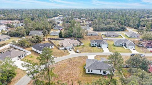 New construction Single-Family house 2831 Sw 166Th Ln, Ocala, FL 34473 null- photo 26 26