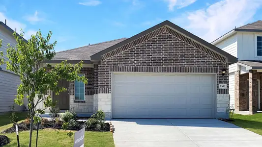 New construction Single-Family house 1561 Agave Cellar, New Braunfels, TX 78130 plan The Brooke - image