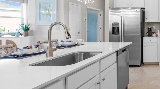 Lennar at Turnleaf: Manor Homes 13