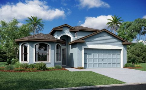 Rose Haven by Vitale Homes in New Port Richey - photo 20 20