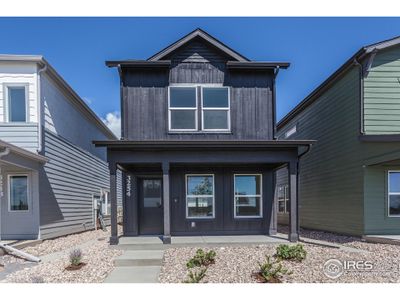 New construction Single-Family house 3254 Crusader St Ft, Fort Collins, CO 80524 - image 3