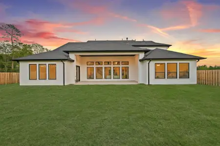 New construction Single-Family house 41702 Lays Ct, Todd Mission, TX 77316 - image 2