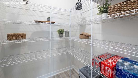 New construction Single-Family house 3723 Coleman Dr, Charlotte, NC 28215 plan Robie - image