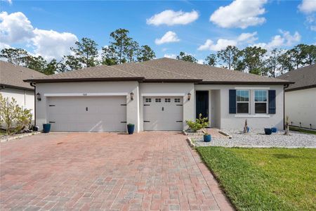 New construction Single-Family house 3160 Firethorn Cir, Daytona Beach, FL 32124 - image