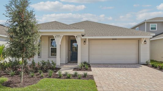 New construction Single-Family house 30310 Emerald Forest Dr, Mount Dora, FL 32757 plan Buttonwood - image