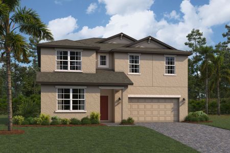 New construction Single-Family house 31979 Sapna Chime Dr, Wesley Chapel, FL 33543 null- photo 6 6