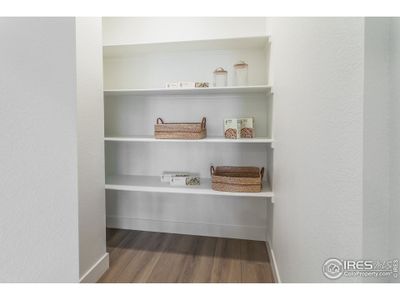 New construction Single-Family house 913 Trumpet Ln, Windsor, CO 80550 - image 7