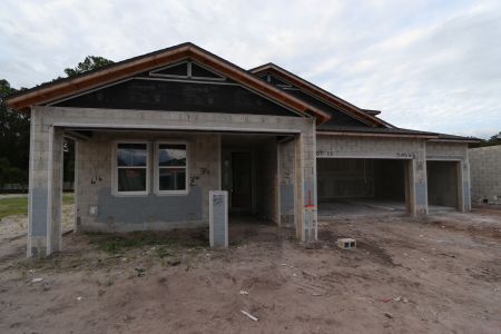 New construction Single-Family house 20243 Oriana Loop, Land O' Lakes, FL 34638 Corina  III Bonus- photo 57 57