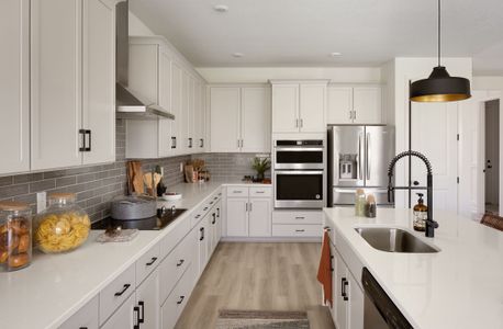 New construction Single-Family house 897 Hillshire Pl, Spring Hill, FL 34609 plan Hazel - image 6