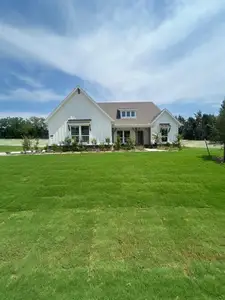 New construction Single-Family house 1004 Perrin Ln, Van Alstyne, TX 75495 plan Bluebonnet SE - image