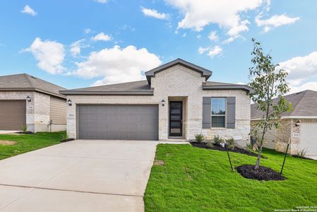 New construction Single-Family house 25924 Marigold Oaks, Boerne, TX 78006 Rio Grande- photo 5 5