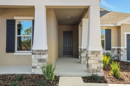 New construction Single-Family house 17374 Crisp Apple Ln, Land O' Lakes, FL 34638 plan Arlington - image 3