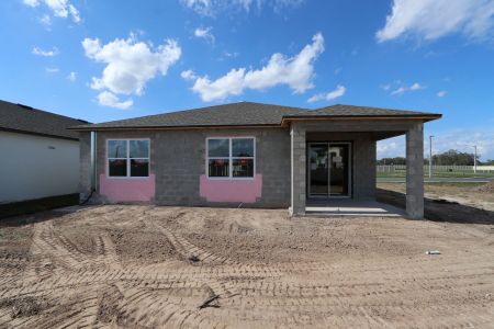 New construction Single-Family house 3164 Adams Cross Dr, Zephyrhills, FL 33540 Marque- photo 32 32