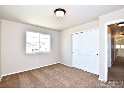 New construction Single-Family house 2369 Blissful Ln, Windsor, CO 80550 - photo 31 31