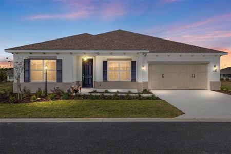 New construction Single-Family house 9960 Sw 106Th Cir, Ocala, FL 34481 - image