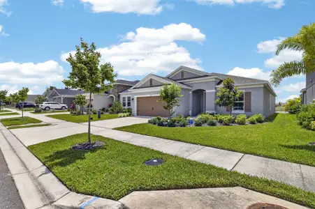 New construction Single-Family house 6081 Hidden Branch Dr, Apollo Beach, FL 33572 - image