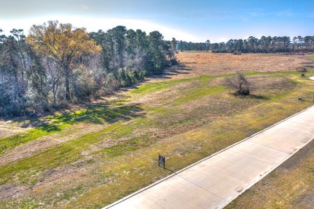 New construction Single-Family house 6 Homestead Hill Rd, New Waverly, TX 77358 - image 10