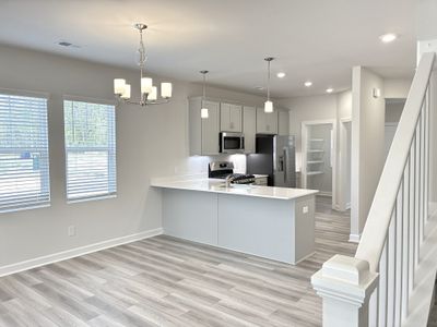 New construction Single-Family house 247 Taylor Woods Ct, Greenville, SC 29607 plan The Princeton A - image 6