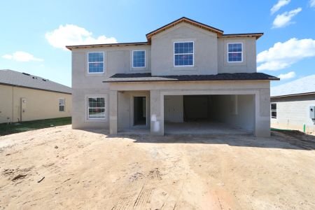 New construction Single-Family house 12219 Hilltop Farms Dr, Dade City, FL 33525 Malibu- photo 73 73