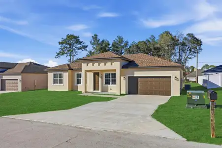 New construction Single-Family house 4443 Sw 152Nd St, Ocala, FL 34473 - image
