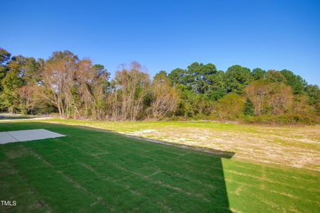 New construction Single-Family house 45 Winterwood Dr, Benson, NC 27504 Red Camellia- photo 28 28