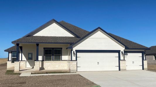 New construction Single-Family house 15036 Planeview Dr, Salado, TX 76571 Elmwood- photo 29 29