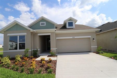 New construction Single-Family house 6252 Broad Field Ave, Apollo Beach, FL 33572 Stratum- photo 0