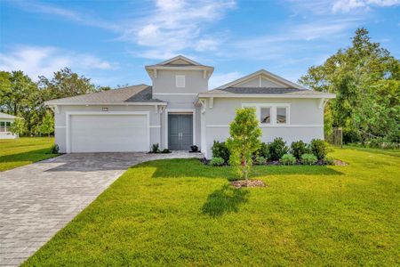 New construction Single-Family house 8445 Golden Beach Court, Parrish, FL 34219 - photo 0 0