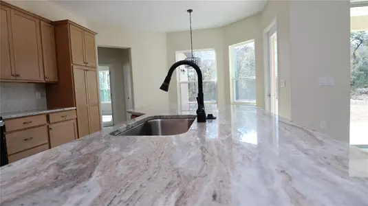 New construction Single-Family house 12085 Harris Hawk Rd, Brooksville, FL 34614 - image 7