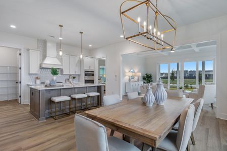 New construction Single-Family house 501 Ivy Green Ln, Summerville, SC 29486 plan Wando N - image 15