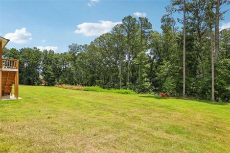 New construction Single-Family house 8023 Whitestone Blvd, Douglasville, GA 30135 plan The Hedgerow III Plan - image 17