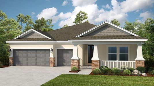 New construction Single-Family house 2299 Overfalls Place, Wesley Chapel, FL 33543 Java- photo 0