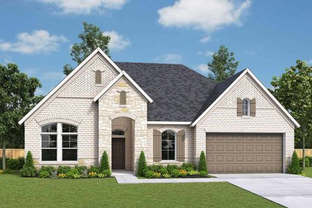 Riceland 60’ Homesites by David Weekley Homes in Mont Belvieu - photo 8 8