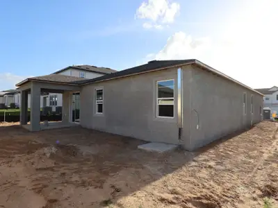 New construction Single-Family house 12250 Stirrup Dr, Dade City, FL 33525 plan Picasso - image