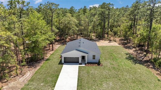 New construction Single-Family house 13274 Sw 82Nd Ln, Dunnellon, FL 34432 - image