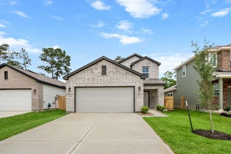 New construction Single-Family house 229 Elm Spring Dr, Hockley, TX 77447 plan Hampton - image