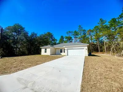 New construction Single-Family house 6809 Sw 149Th Lane Rd, Ocala, FL 34473 - image