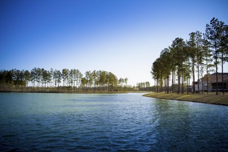 New construction Single-Family house 180 Belfort Pl, Summerville, SC 29486 HANOVER- photo 14 14