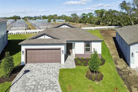 New construction Single-Family house 4718 Outhaul Run, Palmetto, FL 34221 plan Panama - image