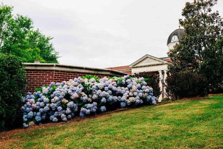 New construction Single-Family house 4282 Portsbrook Avenue, Snellville, GA 30039 Coleford- photo 33 33