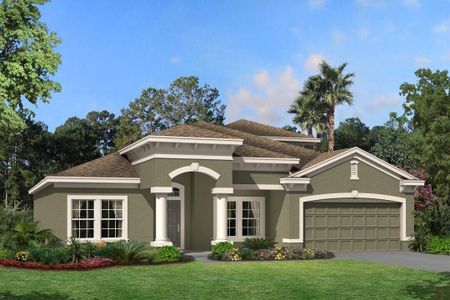 New construction Single-Family house 5950 Newberry Pines Ave, Wesley Chapel, FL 33545 null- photo 3 3